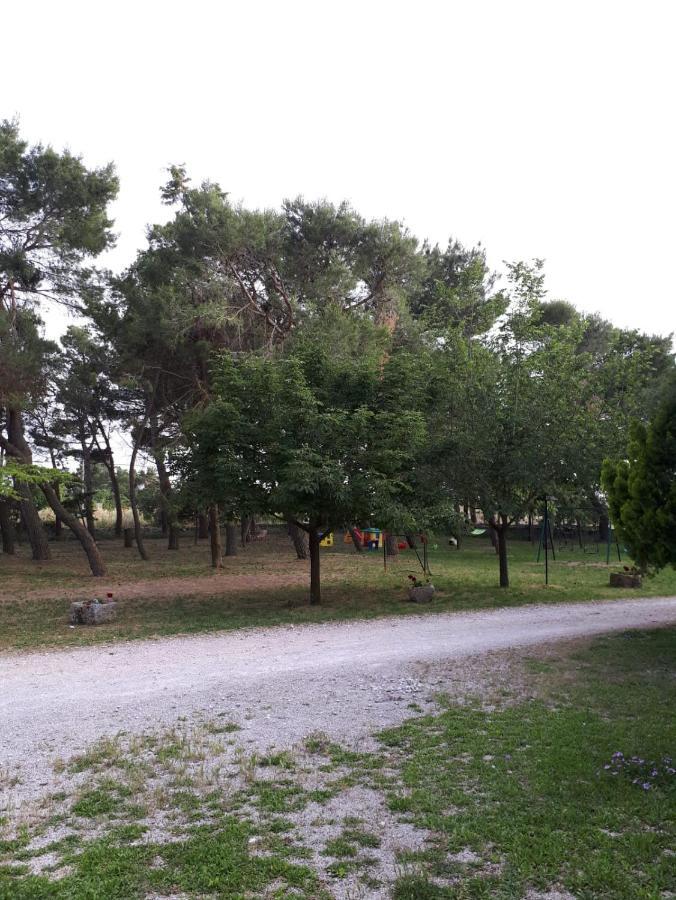 Il Casale Falagario Stacca Villa Altamura Eksteriør bilde